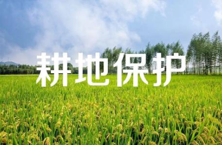 我国是如何保护耕地的?保护措施有哪些?