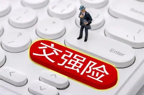 车辆交强险理赔范围及赔偿金额有多少2024