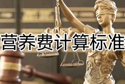 营养费