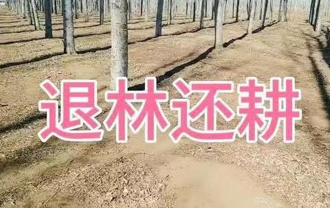 退林还耕2020新政策
