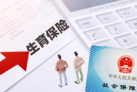 生育金领取条件及标准2024