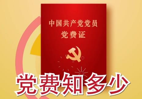 公务员党费基本缴纳标准2024年