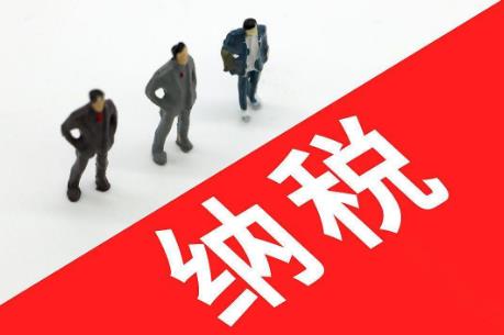 国家纳税标准2024最新规定