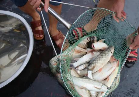 渔业行政处罚
