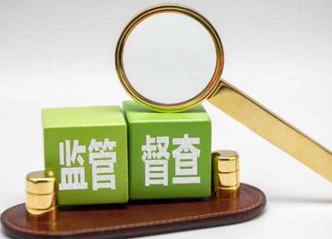 2025年政府督查工作条例最新