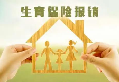 生育险报销标准2025