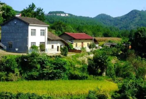 2025年农村宅基地最新政策