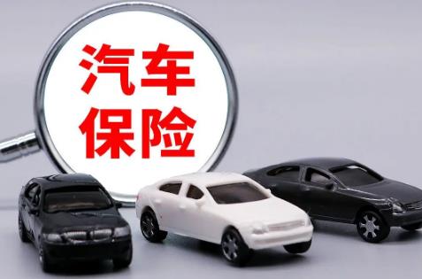 车险