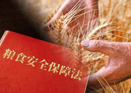 粮食安全保障条例