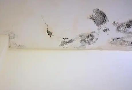 房子漏水应该找谁解决问题