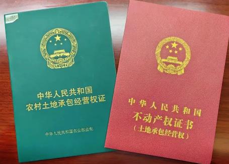 农村土地使用权最新政策2025年