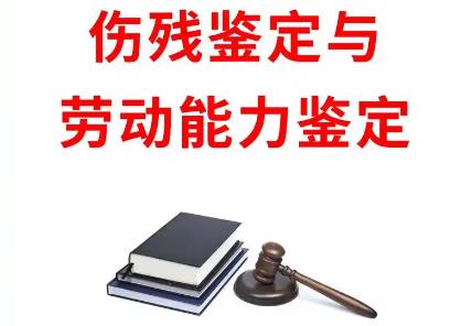 2025年劳动能力鉴定标准及赔偿标准最新