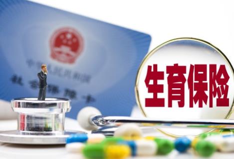 生育险报销标准2025规定