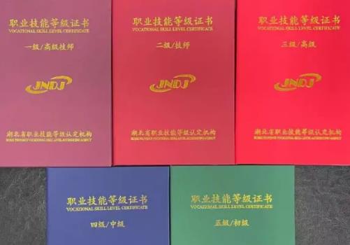 学籍证明去哪里开?