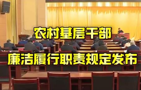 2025年农村基层干部廉洁履行职责规定最新