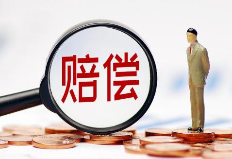 自赔案件