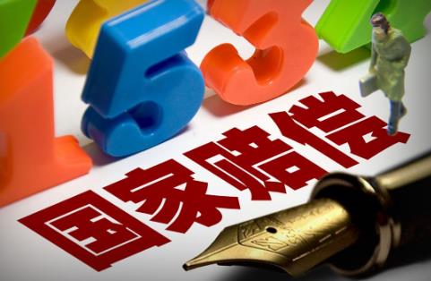 2025年国家赔偿案件立案工作的规定最新