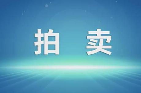 关于人民法院委托评估、拍卖和变卖工作的若干规定