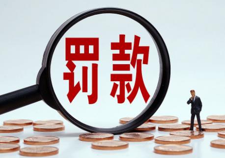 2025年财政违法行为处罚处分条例最新