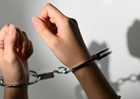 关于单位有关人员组织实施盗窃行为如何适用法律问题的批复