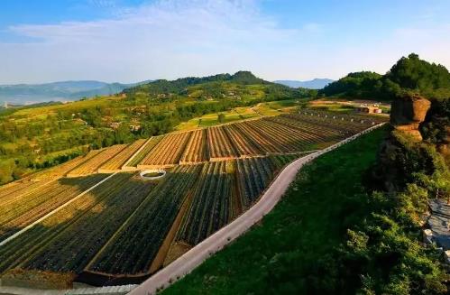 2025年陕西省水土保持条例最新