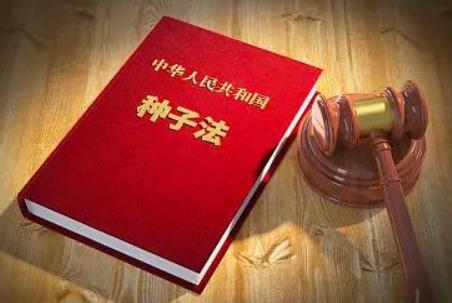 2025年中华人民共和国种子法最新