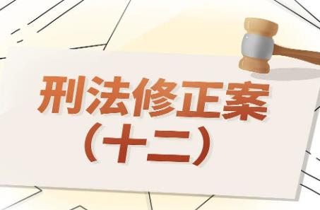 2025年中华人民共和国刑法修正案(十二)
