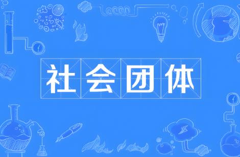 2025年社会团体年度检查办法最新