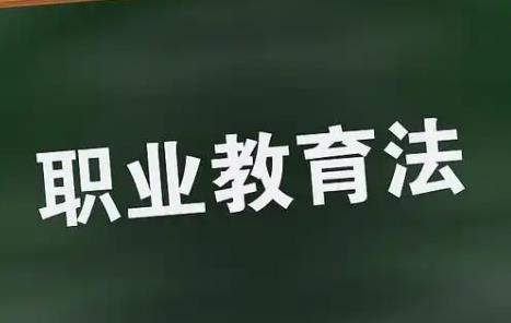 职业教育法