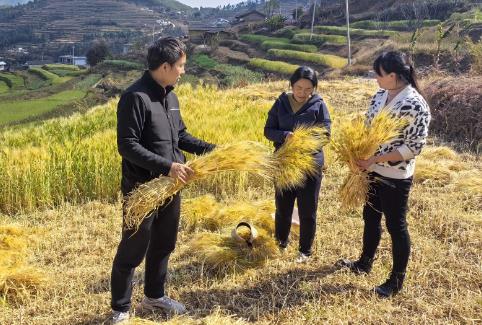 2025年中华人民共和国农业法修正