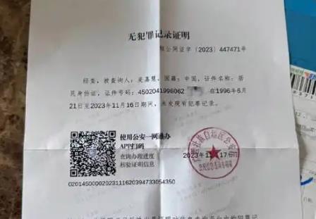 2025年无犯罪记录证明最新政策