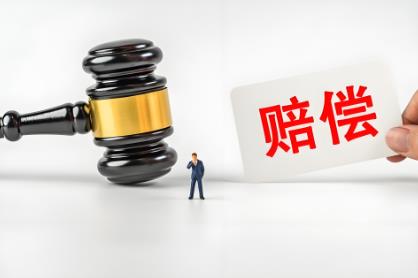 关于国家赔偿案件立案工作的规定最新