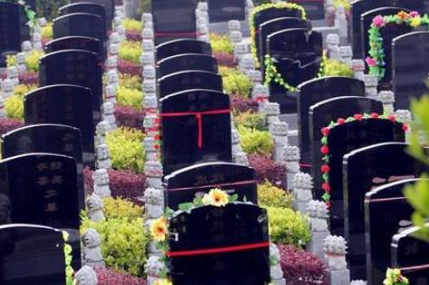 殡葬管理条例2025最新修订