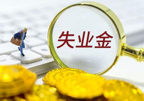 失业金领取条件及标准2025最新