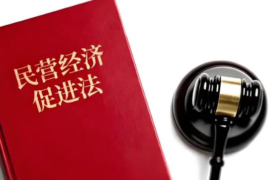 2025年民营经济促进法全文最新版