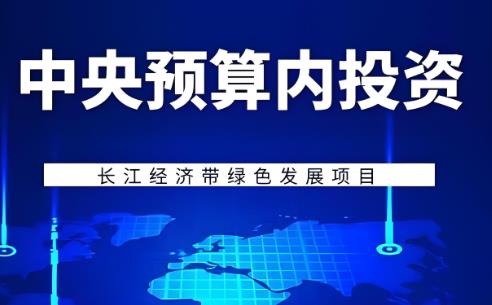 2025年中央预算内投资项目监督管理办法最新版