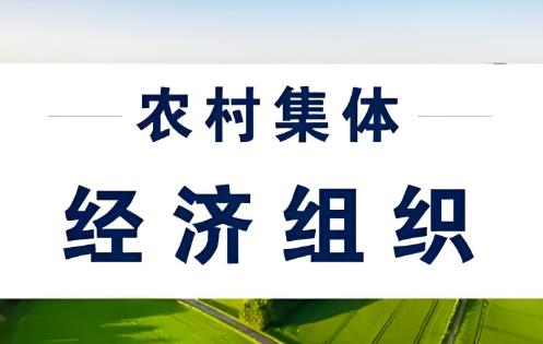 农村集体经济组织法全文完整版