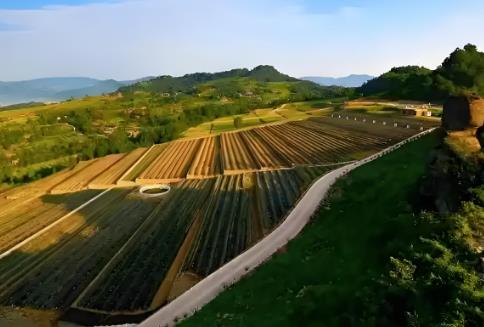 2025年生产建设项目水土保持方案管理办法规定