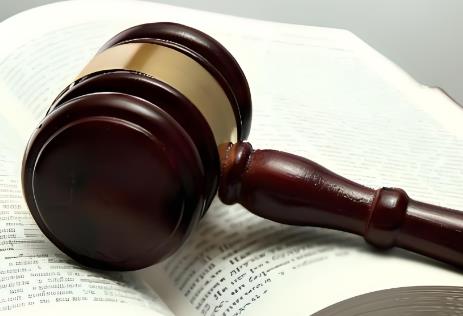 2025年中华人民共和国刑法修正案七全文