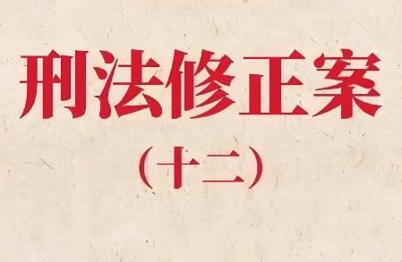 2025年中华人民共和国刑法修正案十二全文