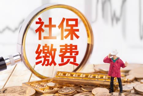 2025年城乡居民社保补缴政策最新规定