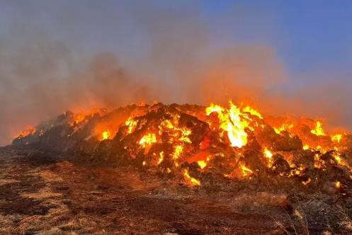 2025年贵州省森林草原禁火令最新