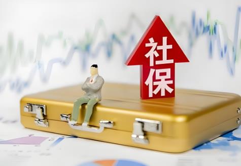 农村灵活就业人员社保缴费标准2025