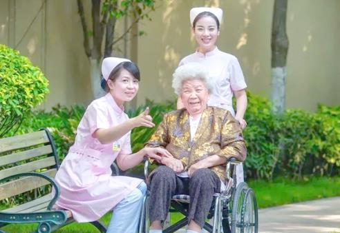 2025年河北省老年人优待办法最新