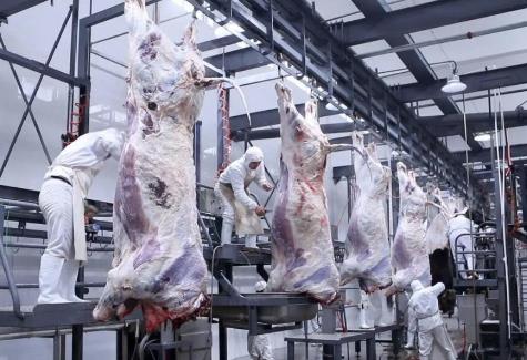 山东省畜禽屠宰管理办法2025最新