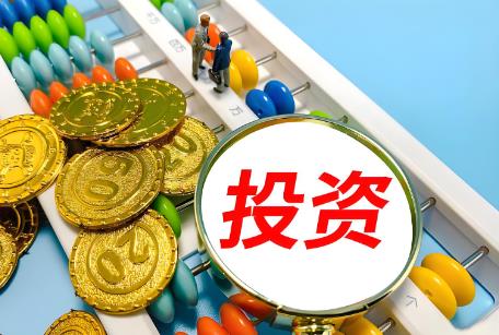 2025年政府投资条例最新版