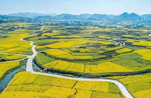 2025年四川省自然资源督察办法最新