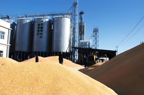 2025年政策性粮食购销违法违规行为举报奖励办法