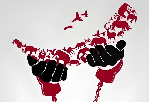 2025年广东省反走私综合治理条例最新版