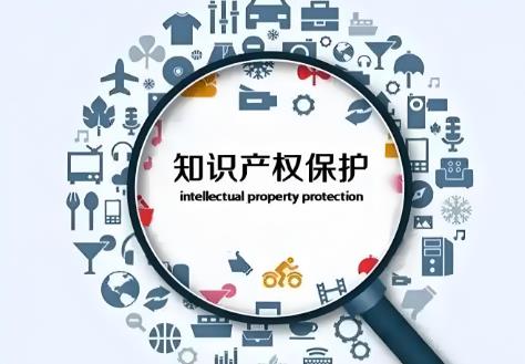 2025年石家庄市知识产权保护与促进条例最新版